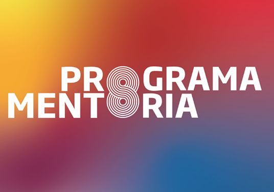 programa mentoria