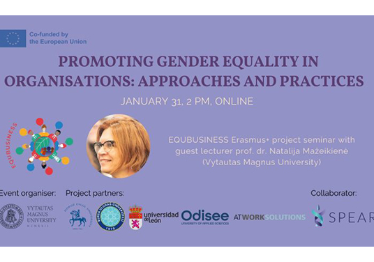 Seminário “Promoting Gender Equality in Organisations: Approaches and Practices” (536x376)