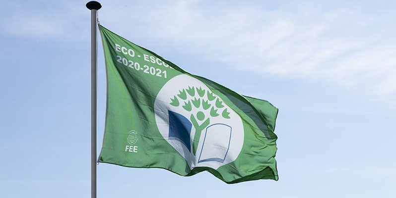 Bandeira Verde 20-21