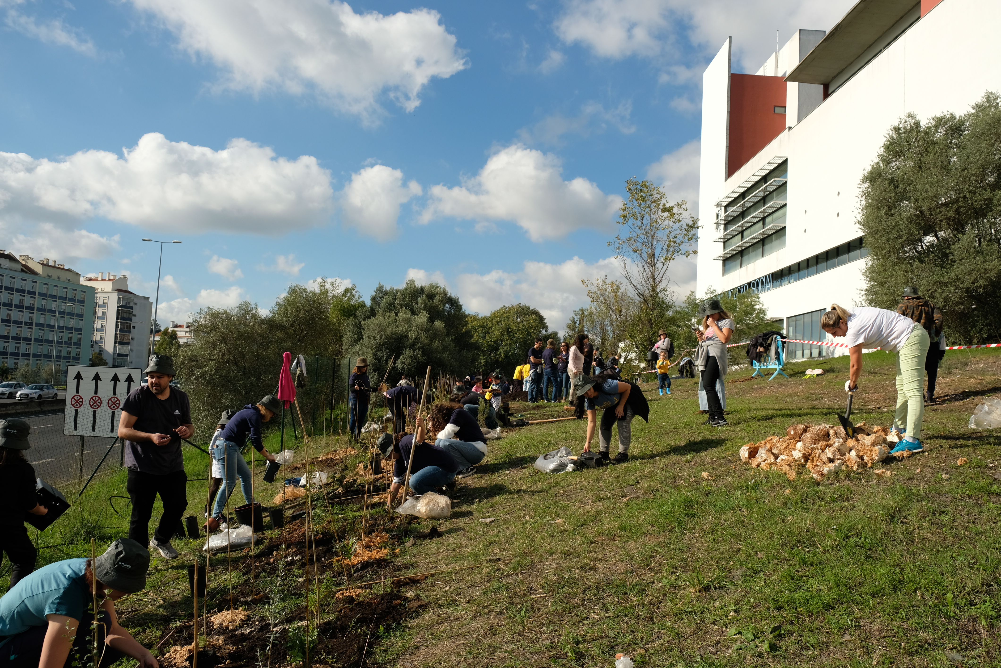 1º. dia da plantação