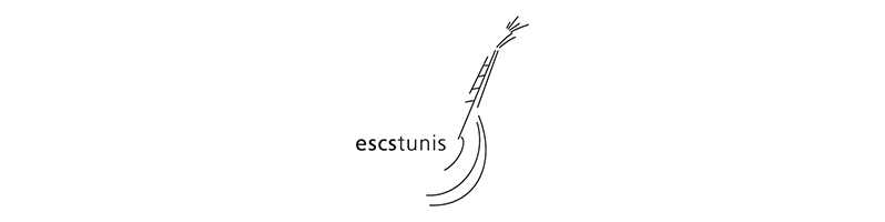 Logo escstunis