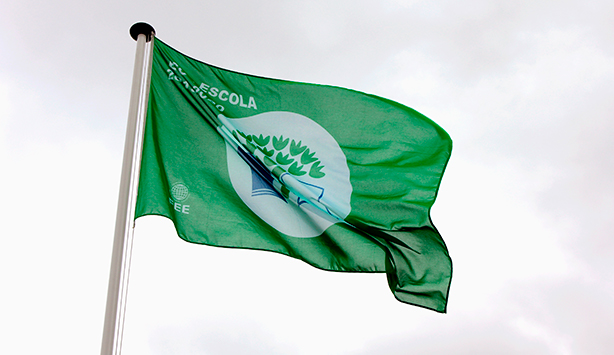 Bandeira verde