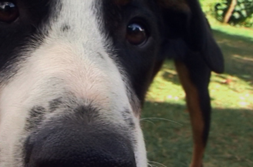 Doclisboa'24 na ESCS (368x236)