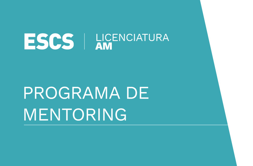 Programa de Mentoring AM