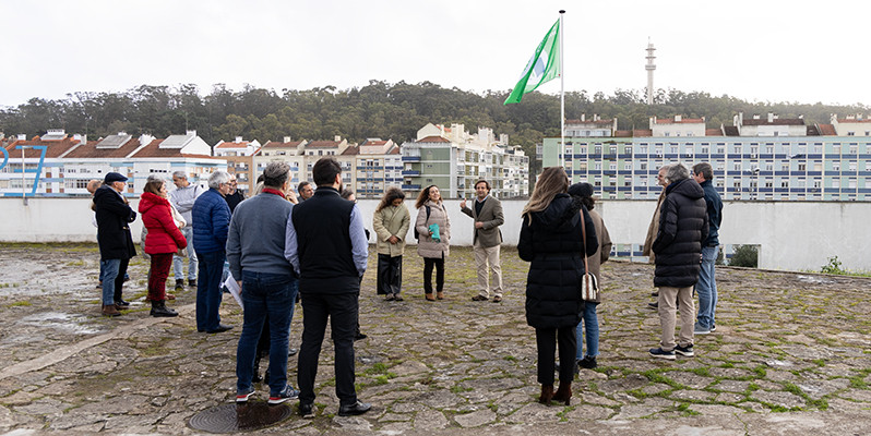 bandeira verde