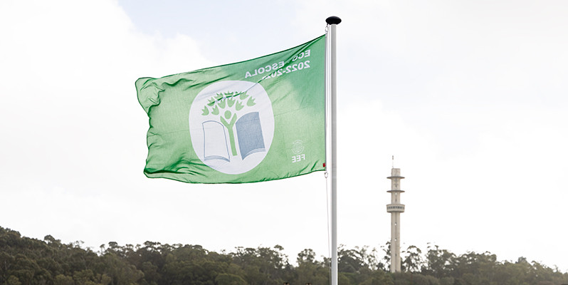 bandeira verde