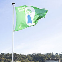 bandeira verde