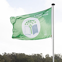 bandeira verde 2022