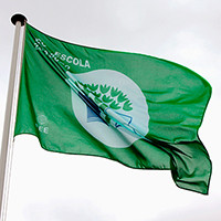 bandeira verde 2020