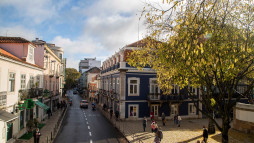 Fotografia na zona de Benfica, em Lisboa, com casas e uma árvore.