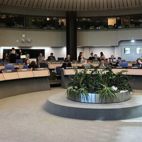 Docente da ESCS leva literacia mediática ao Conselho da Europa