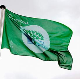 bandeira verde