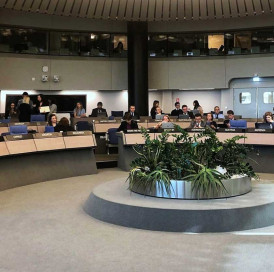 Docente da ESCS leva literacia mediática ao Conselho da Europa